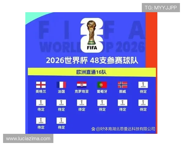 2026年世界杯哥伦比亚VS葡萄牙比赛赛后数据统计全面解读与关键表现分析